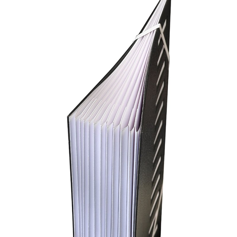 Extendos Classeur de Bureau A4, 12 compartiments, noir